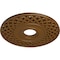 Ekena Millwork Robin Ceiling Medallion (Fits Canopies up to 6 1/4"), 22 1/4"OD x 4 3/4"ID x 1 1/4"P, Smokey Topaz CM22RBSTF - alternate 3